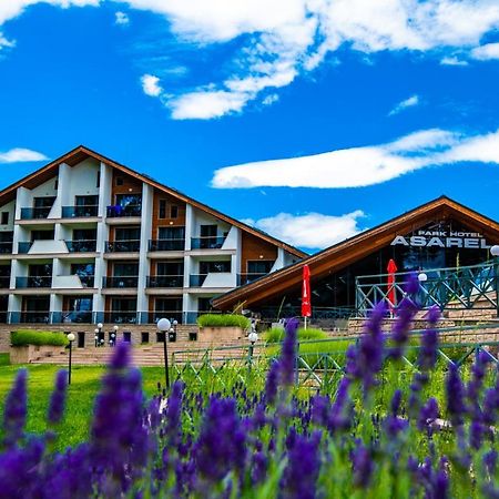Park Hotel Asarel Panagürişte Dış mekan fotoğraf